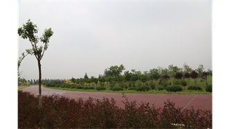 標(biāo)題：大青山南坡生態(tài)修復(fù)
瀏覽次數(shù)：2196
發(fā)表時(shí)間：2020-10-16
