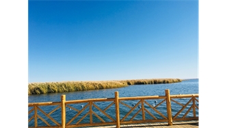 標(biāo)題：額濟納胡楊林景區(qū)
瀏覽次數(shù)：1633
發(fā)表時間：2020-10-16