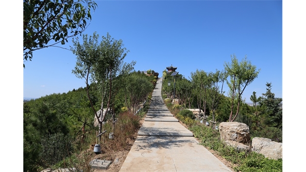 標(biāo)題：張家口太子山山體修復(fù)
瀏覽次數(shù)：18406
發(fā)表時(shí)間：2020-11-12